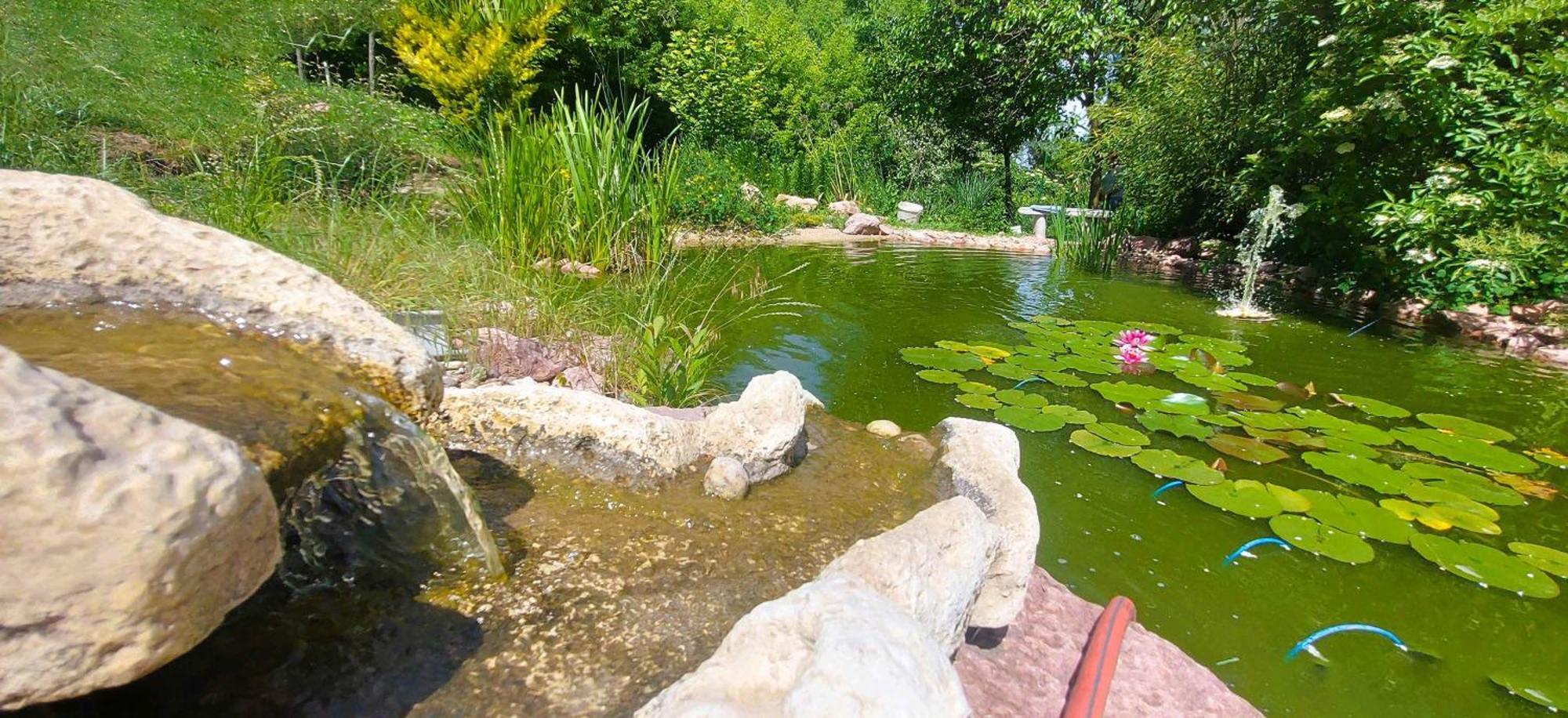 Villa Verteskacsa Vértesacsa Exteriör bild